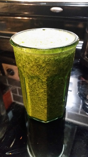 green smoothie blender